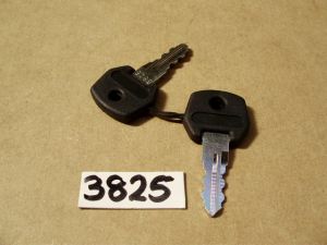 SCHOOL CONTROL KEY (PAIR)