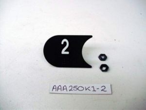 BRAILLE INSERT