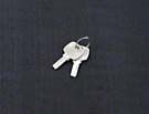 DOM KEYS (SET OF 2) SH1