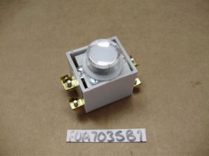 ILLUMINATED BUTTON